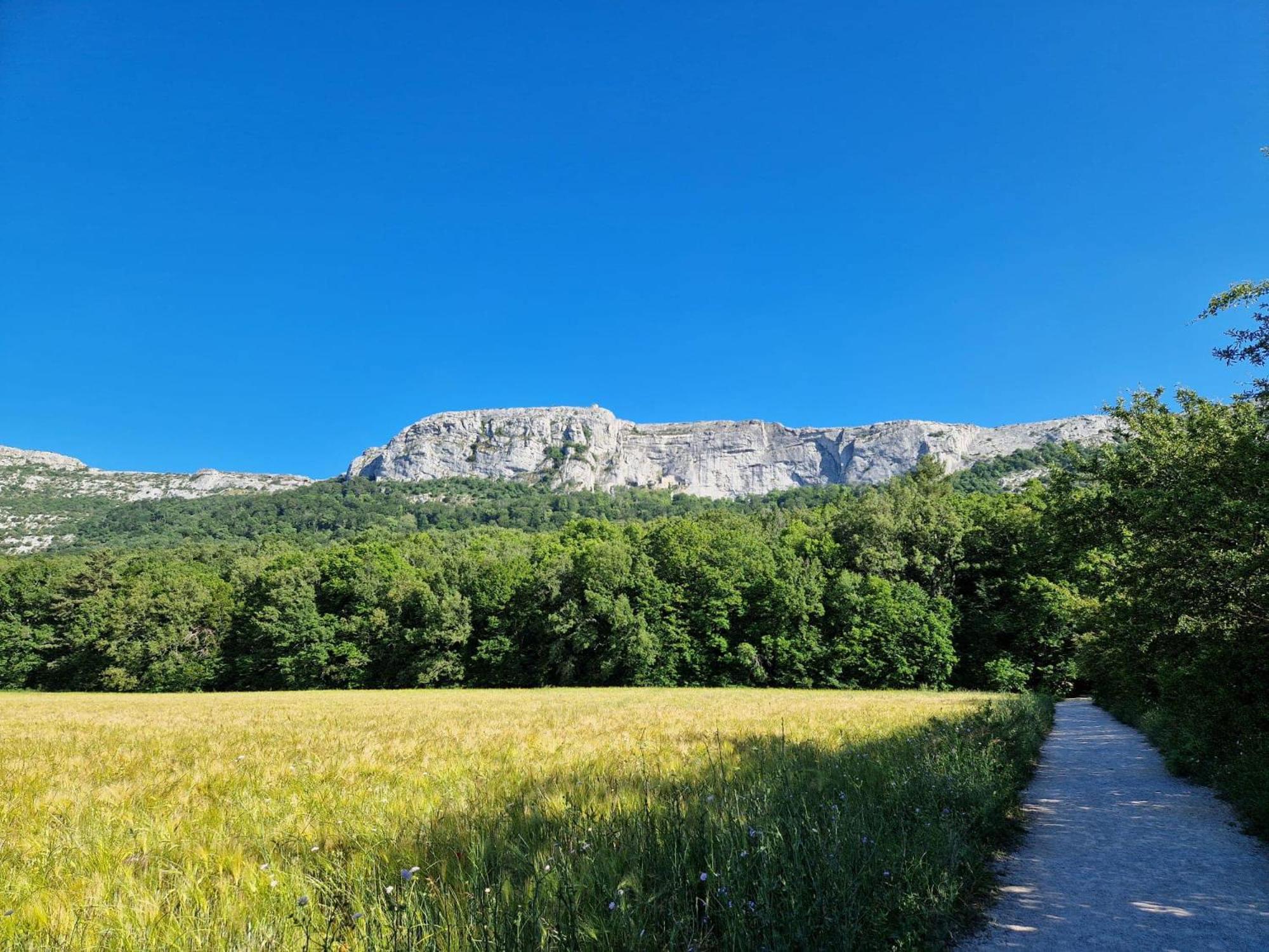 Bastide Saint Supin Apartment Tourves Exterior photo